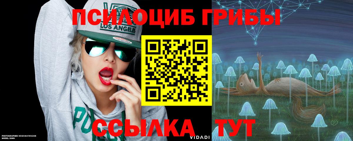 Псилоцибиновые грибы ЛСД  Вход с VPN  Кувандык  Псилоцибиновые грибы ЛСД 