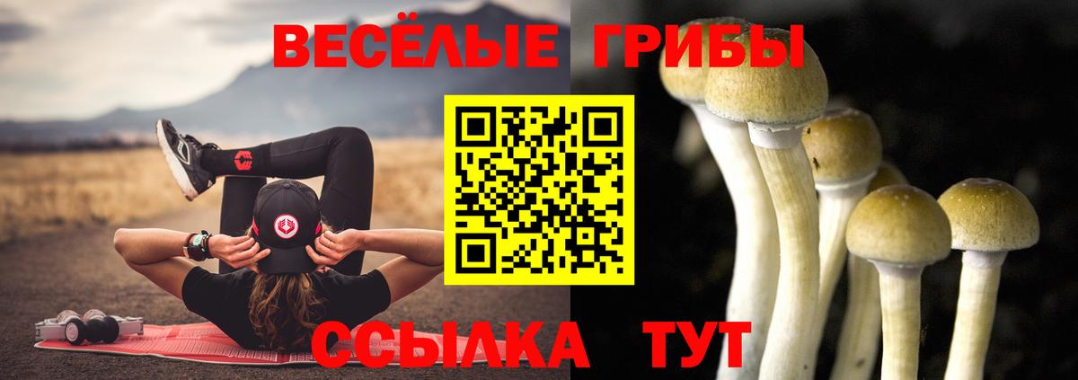 Псилоцибиновые грибы GOLDEN TEACHER Кувандык